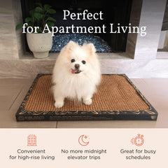 Bark Potty apartment-convenience illustrating indoor potty solution for weather or schedules.