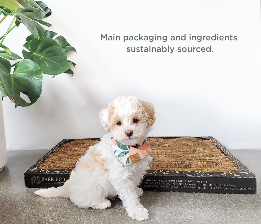 Ideal Bark Potty for apartments and travel when regular pads aren’t convenient.