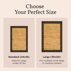 Bark Potty apartment-use setup highlights convenient potty access for compact homes.