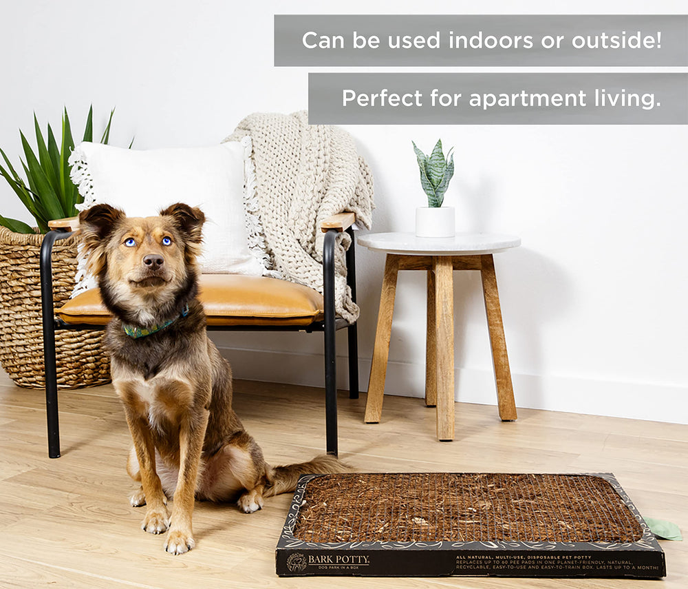 Bark Potty designed for indoor and outdoor use for versatile placement.