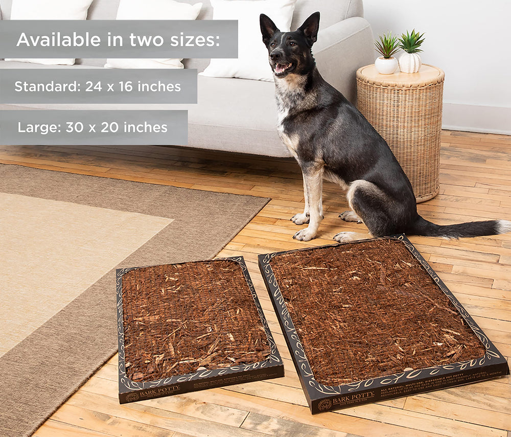 Bark Potty leak-resistant tray prevents leaks during active puppy use