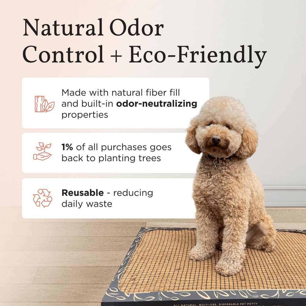 Bark Potty odor-neutralization demonstrates odor control for indoor spaces.