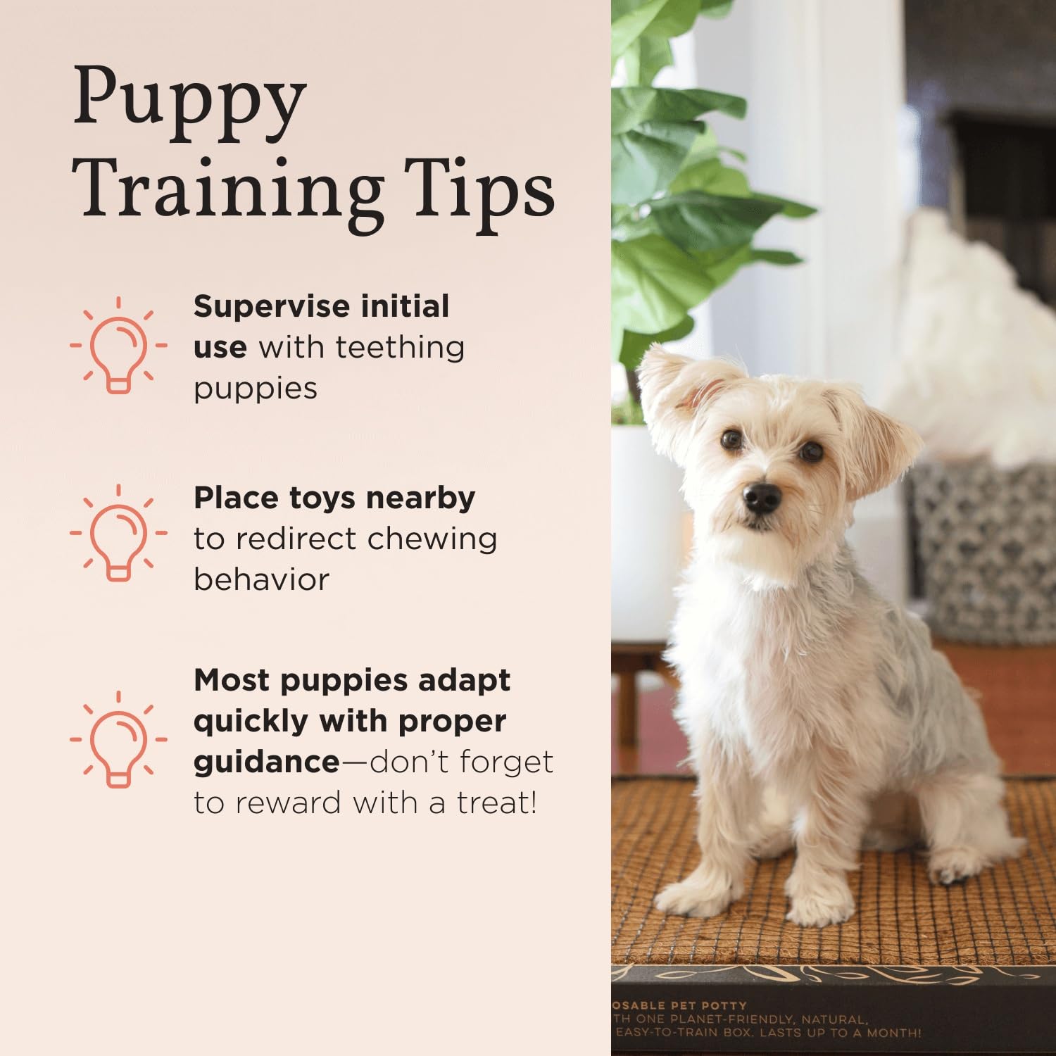 Bark Potty reusable-puppy-pad reinforces a long-term alternative to disposable pads.