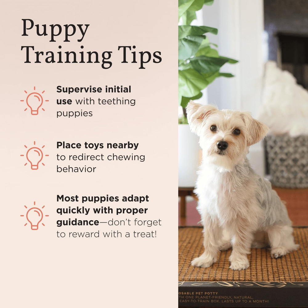 Bark Potty reusable-puppy-pad reinforces a long-term alternative to disposable pads.