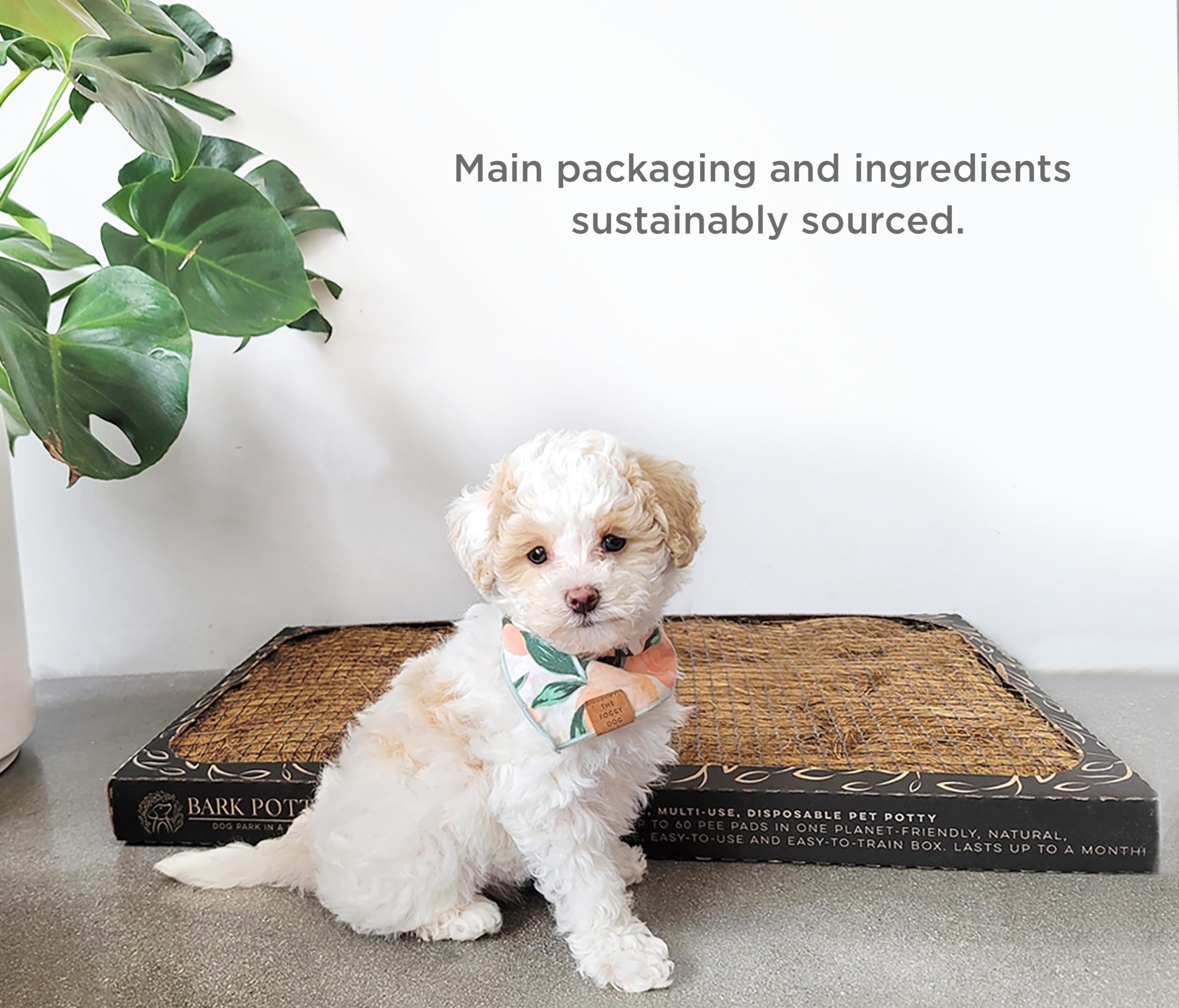 Bark Potty two sizes Large and Standard for different dogs