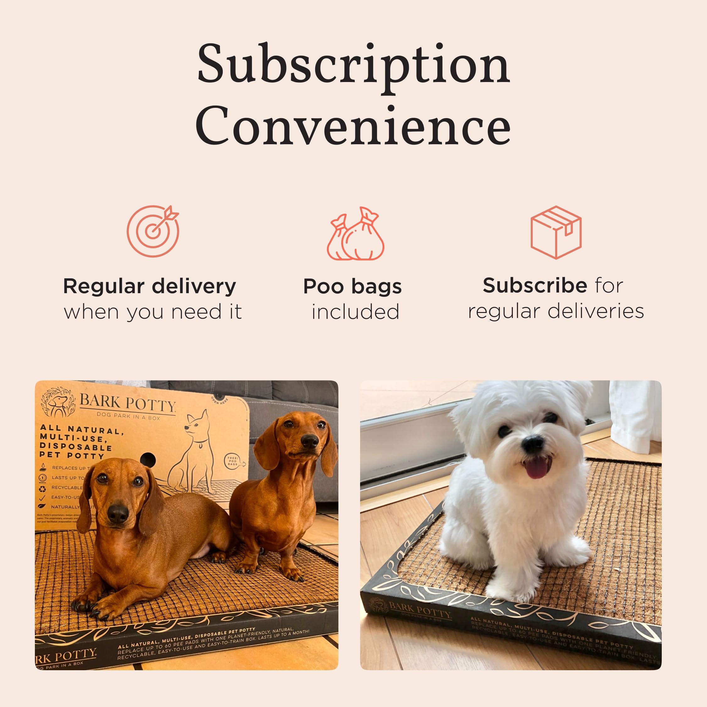 Bark Potty two-sizes-standard-large shows size options for small and larger puppies.