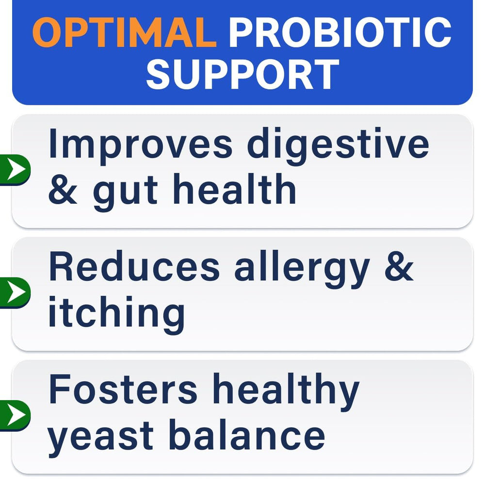 BARK&SPARK chicken-flavored probiotic chews close-up highlighting tasty gut support