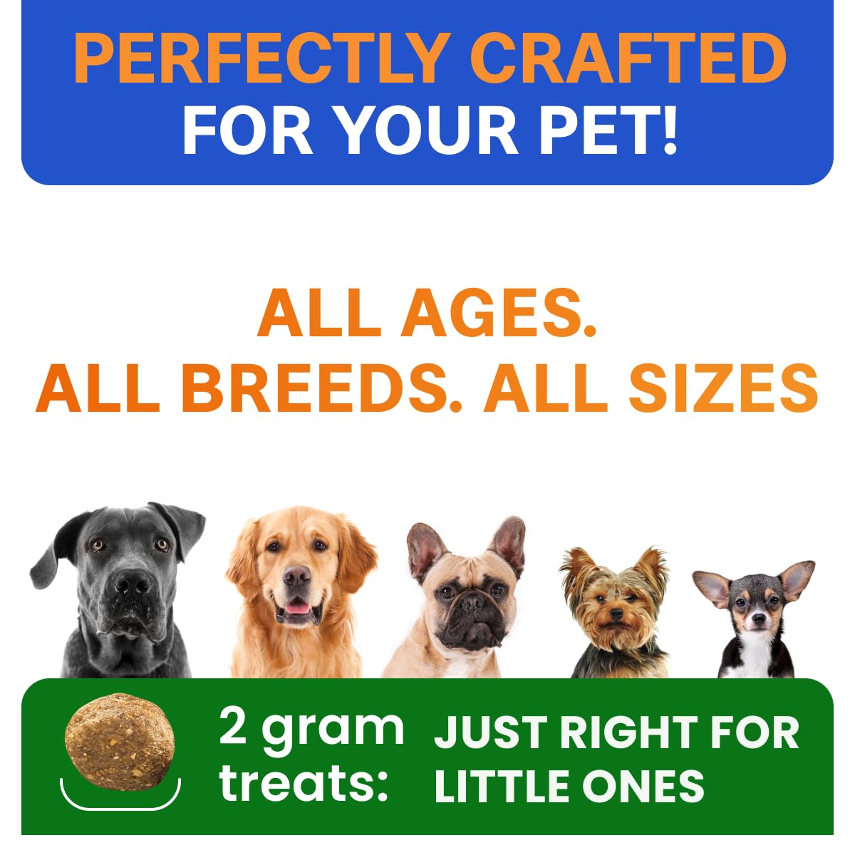Bark&Spark chews in bowl convey a simple daily gut health routine for dogs.