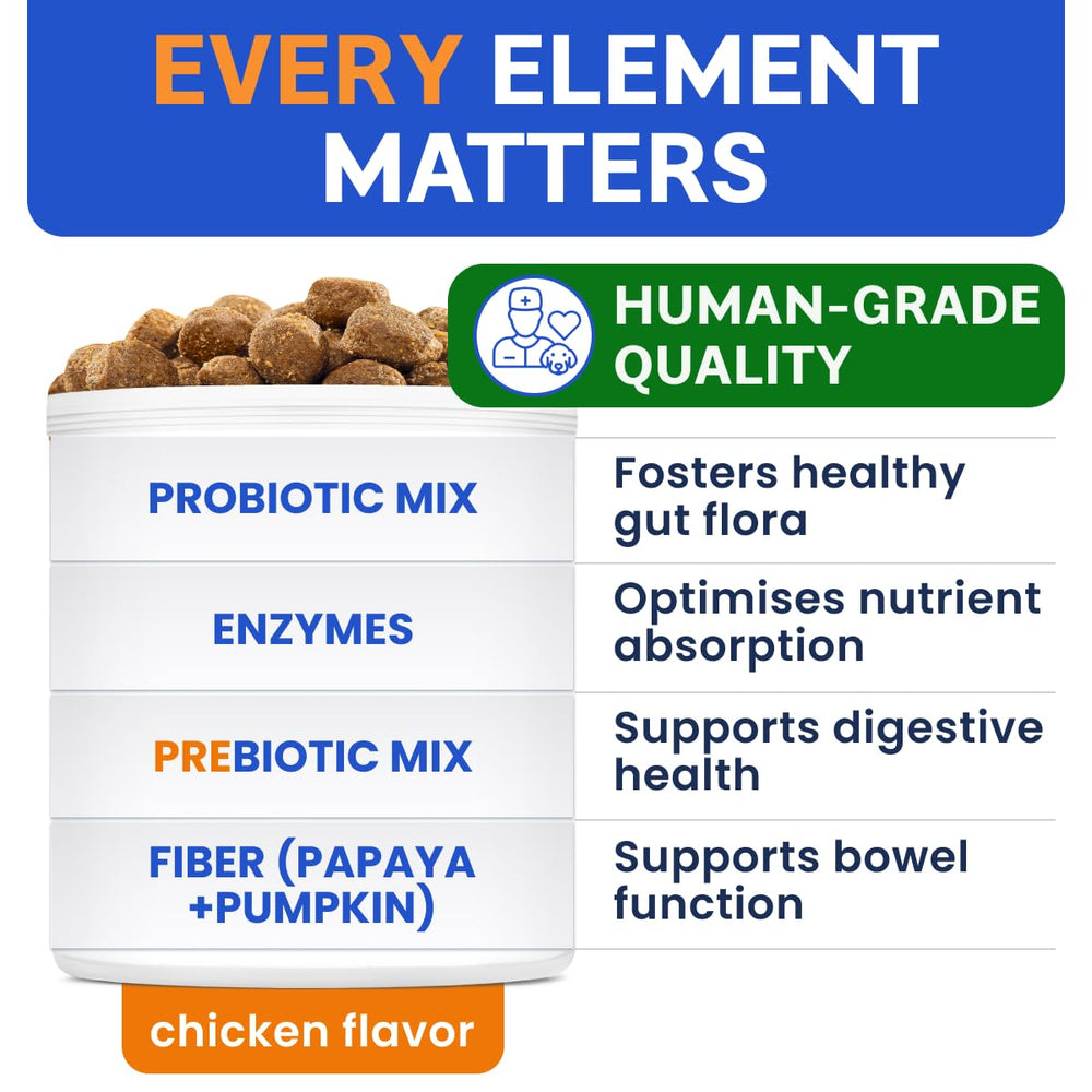 Bark&Spark itch-relief probiotic chews illustrate allergy and itchy skin support.