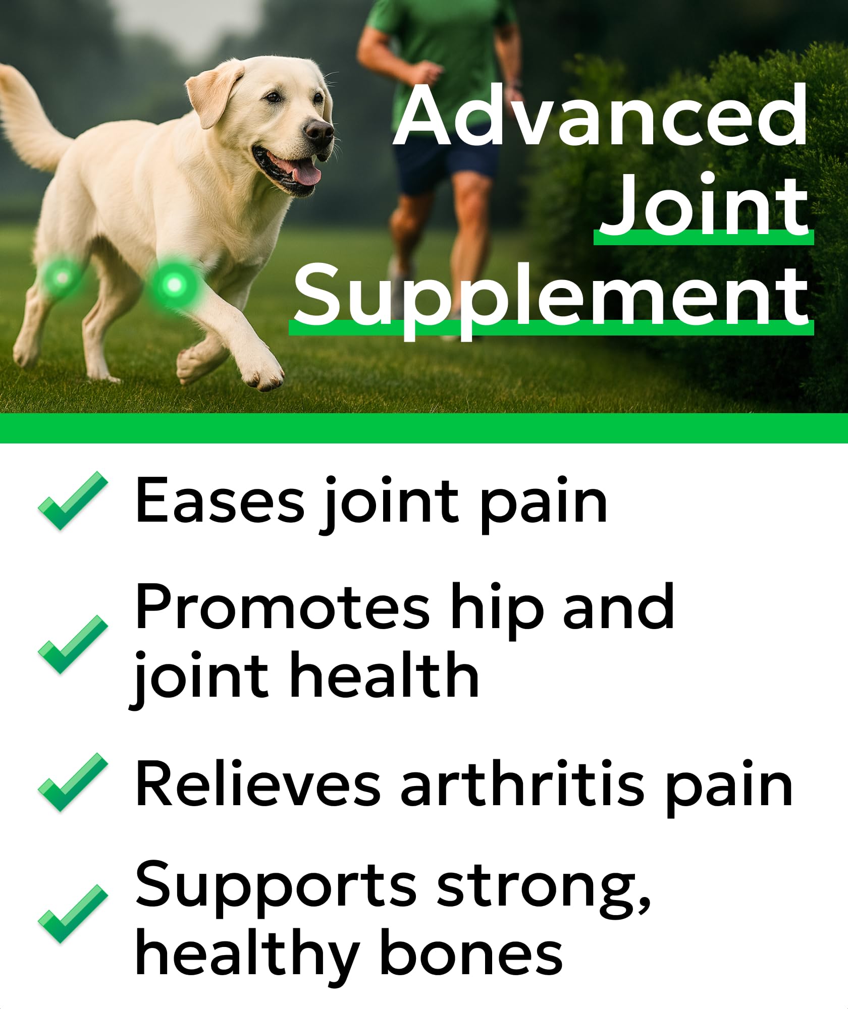 BARK&SPARK senior dog joint chews in bowl for daily routine