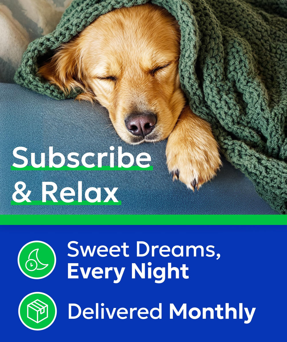 BARK&SPARK travel-size-pack image illustrates compact, travel-ready chews.