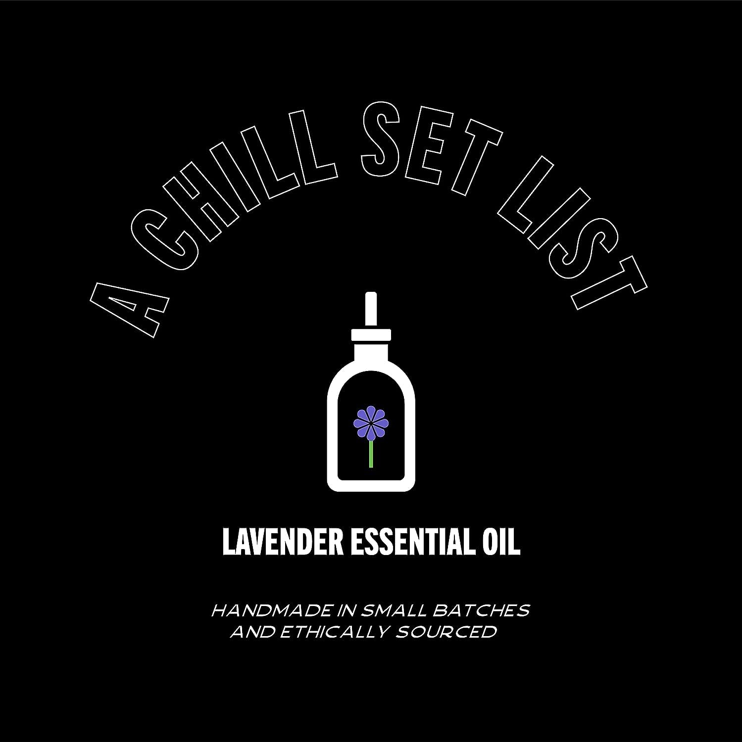 Bark2Basics in a professional grooming session, showcasing concentrated formula