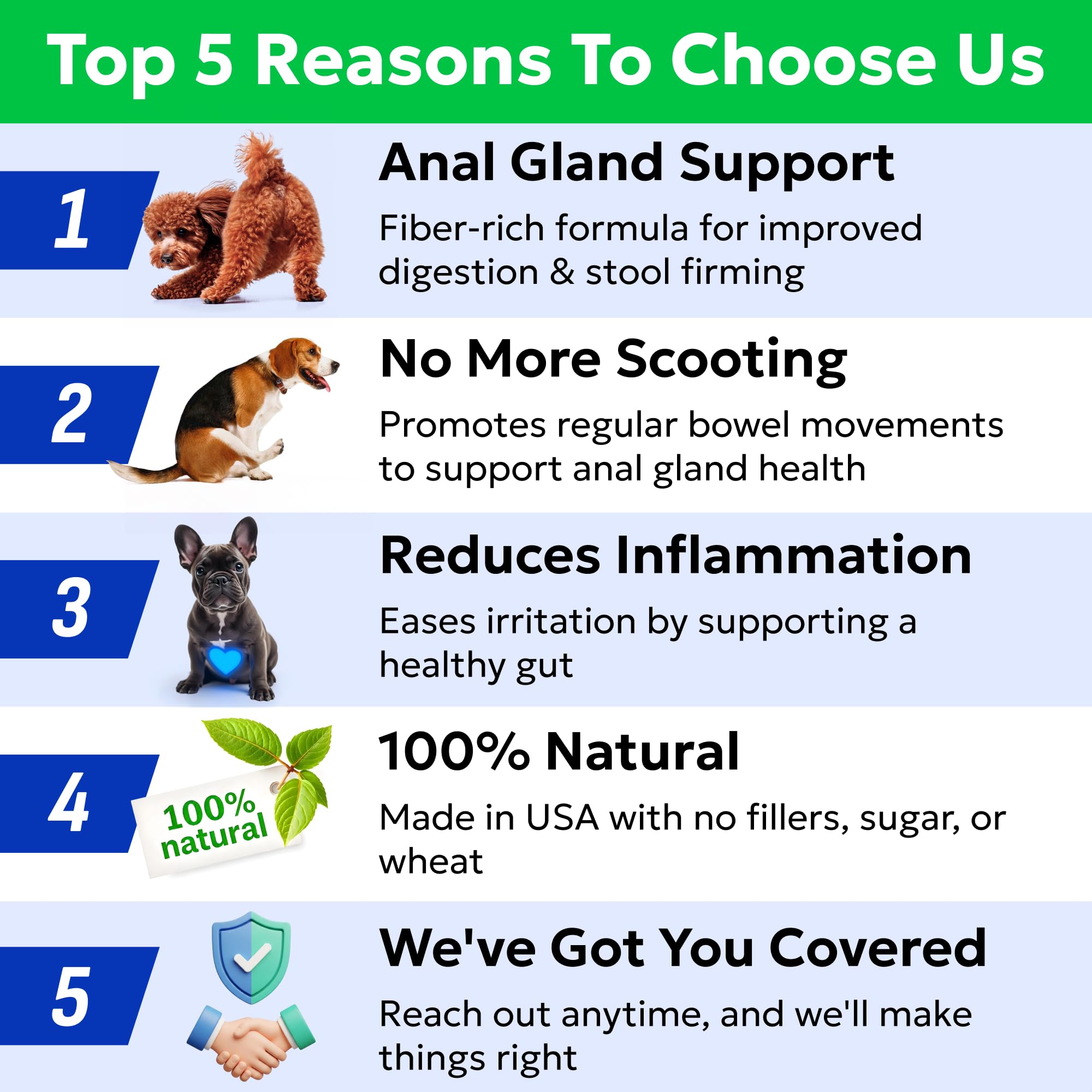 BARK&SPARK Anal Gland Treats dog-benefits illustrate regular stools and improved comfort.