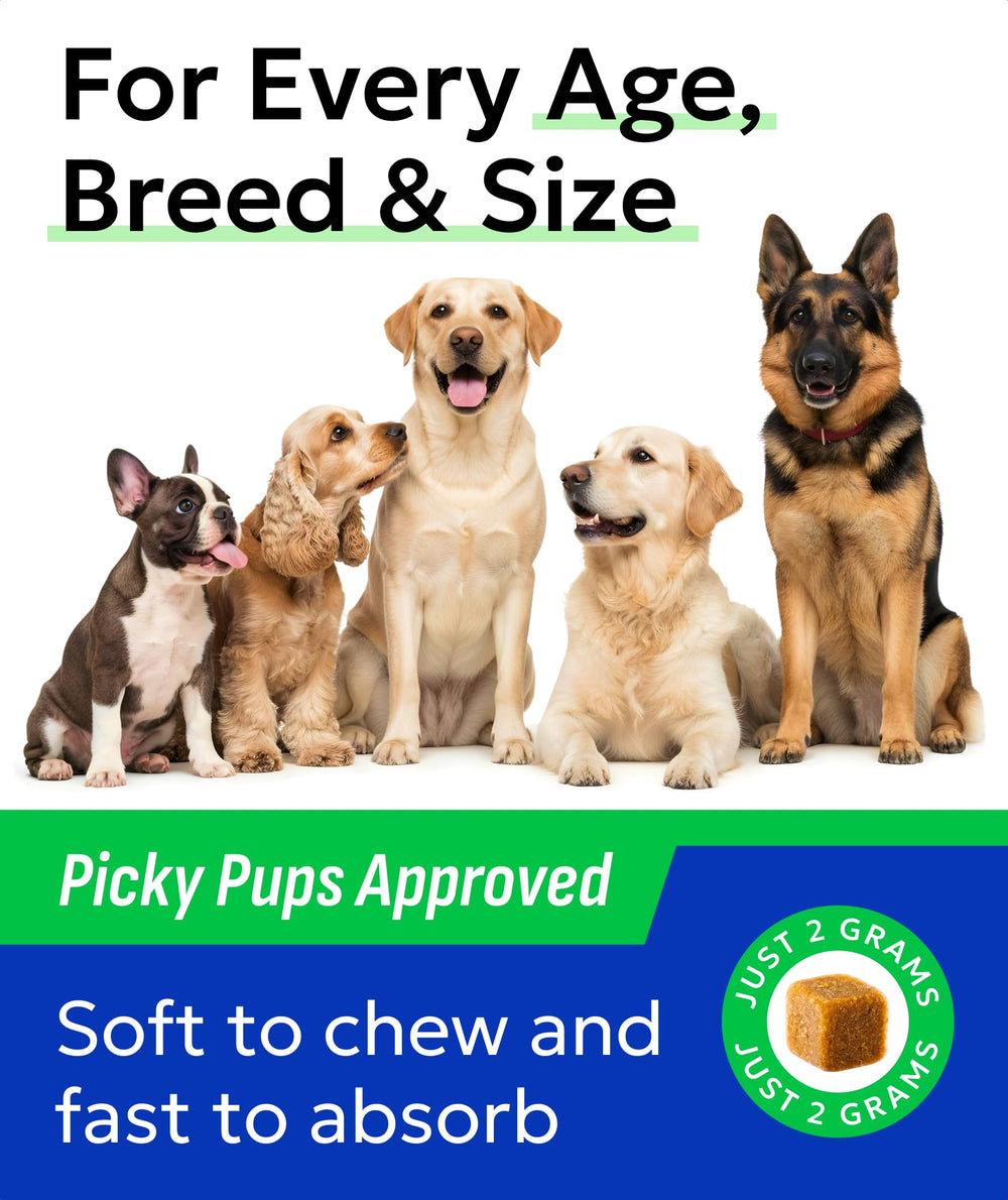 BARK&SPARK chicken-flavored chews shown as tasty treats for joint health