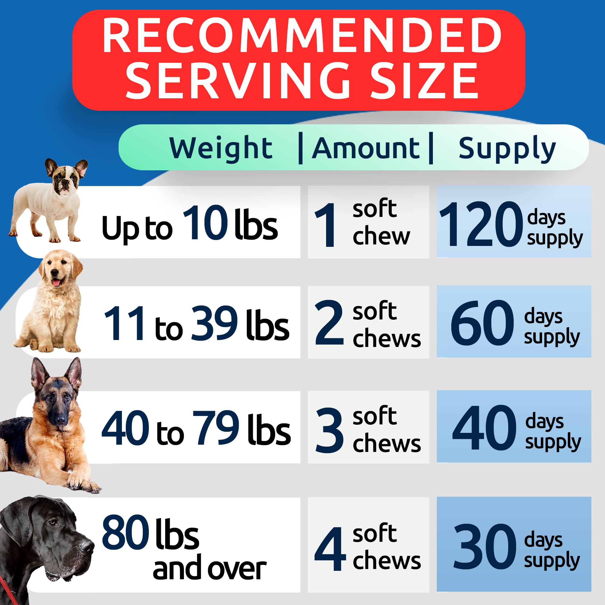 BARK&SPARK dog-activity-after-chews demonstrates renewed playtime potential.