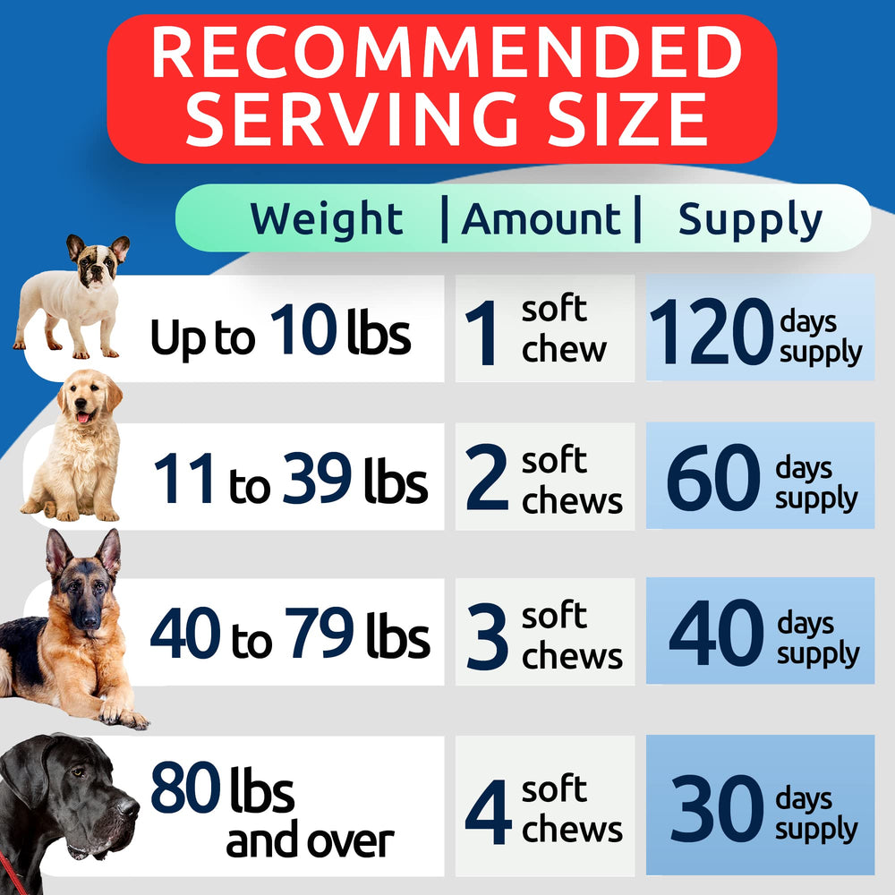 BARK&SPARK dog-activity-after-chews demonstrates renewed playtime potential.