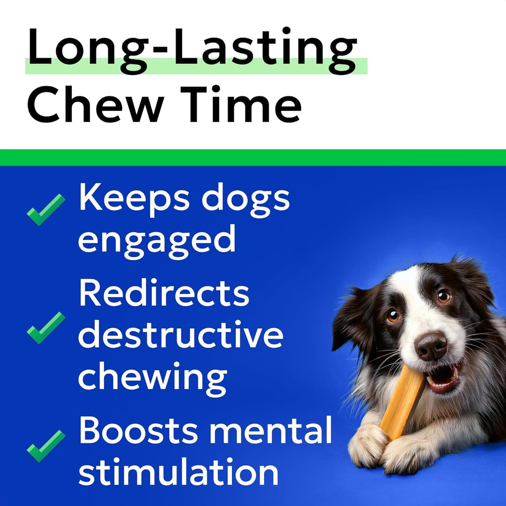 BARK&SPARK dog enjoying chew demonstrates long lasting flavor