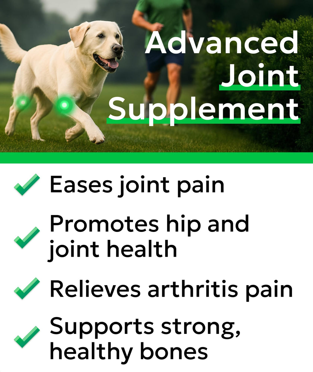 BARK&SPARK dog joint chews close-up shows tasty texture for daily joint support