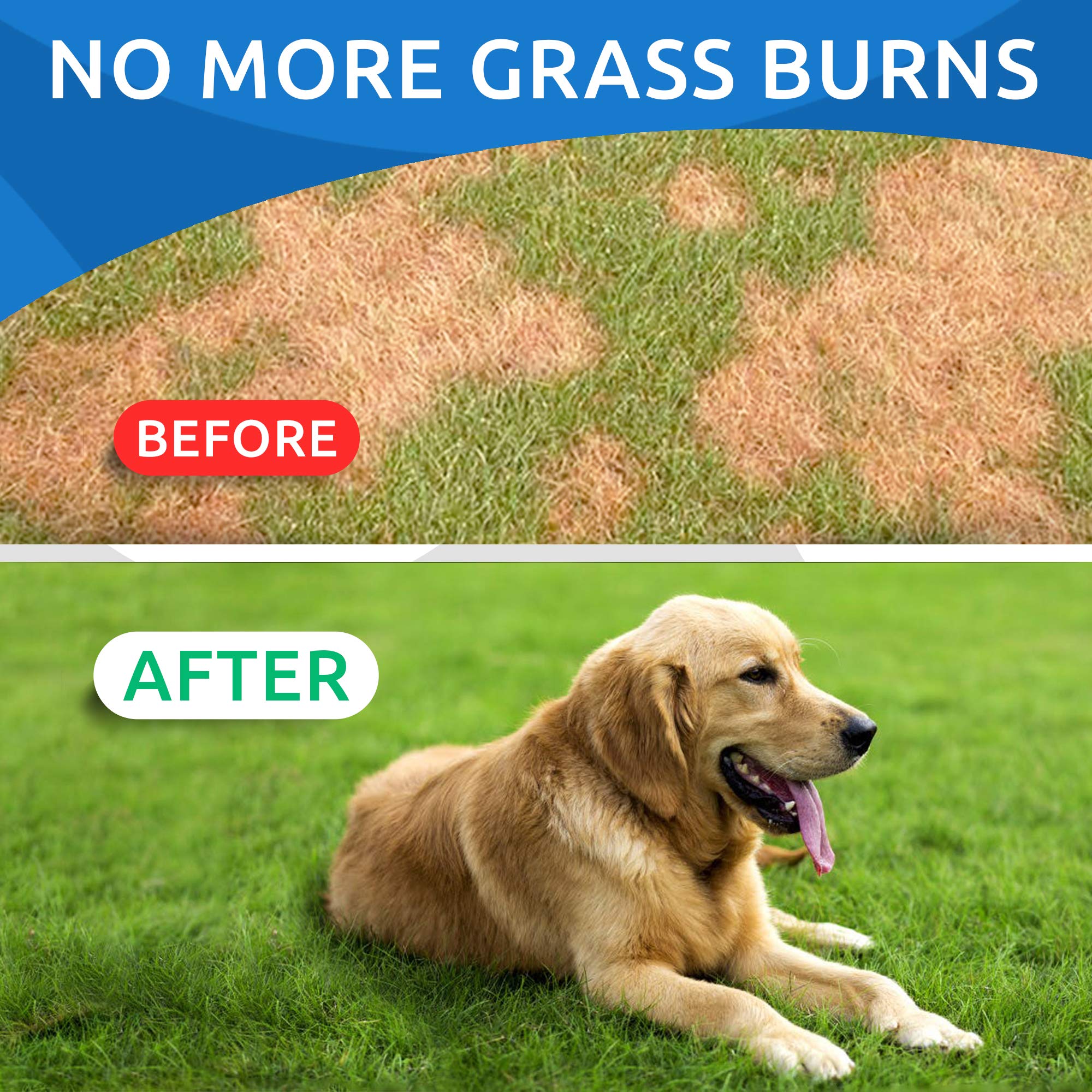 BARK&SPARK urine neutralizer chews aid lawn recovery after pet visits