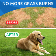 BARK&SPARK urine neutralizer chews aid lawn recovery after pet visits