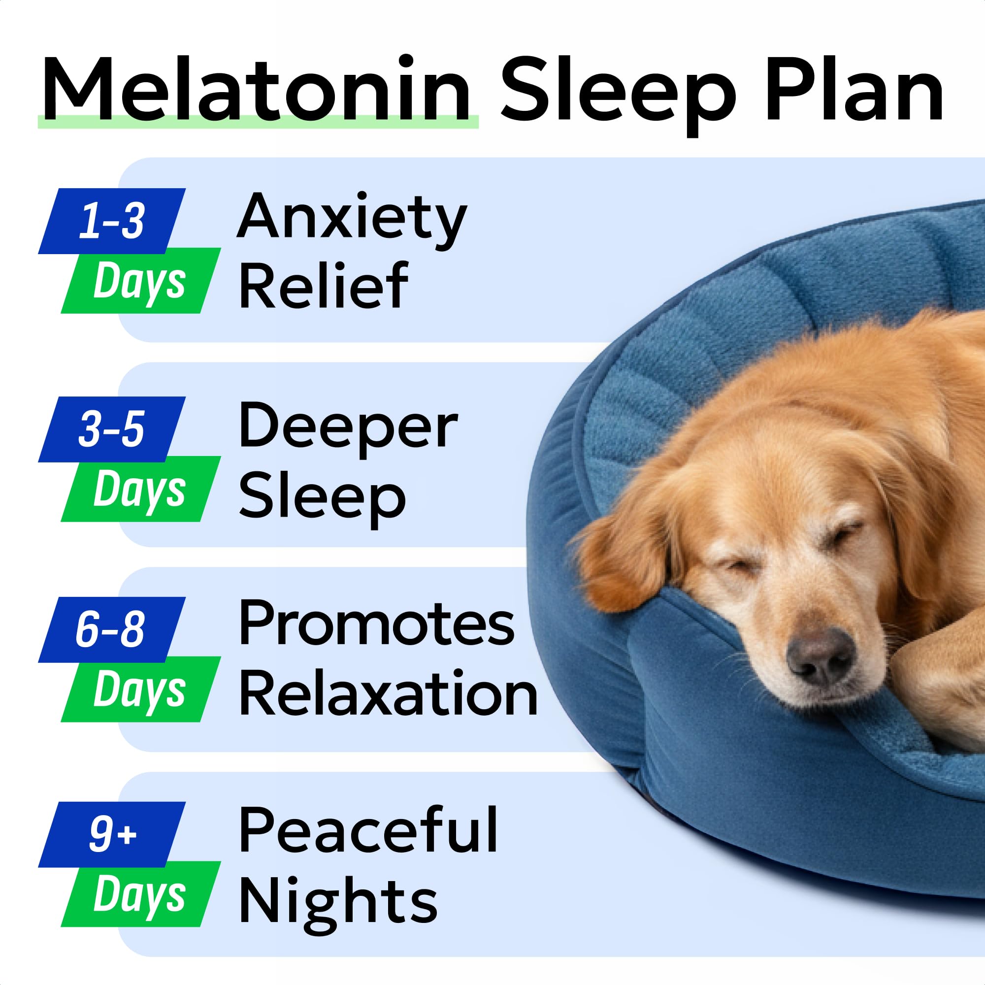 BARK&SPARK bacon flavored melatonin chews entice picky pups to relax.