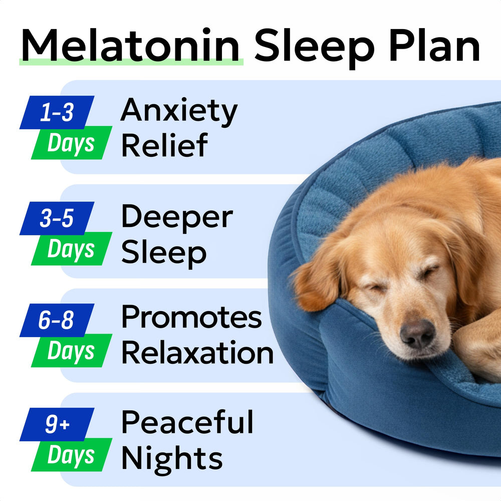 BARK&SPARK bacon flavored melatonin chews entice picky pups to relax.