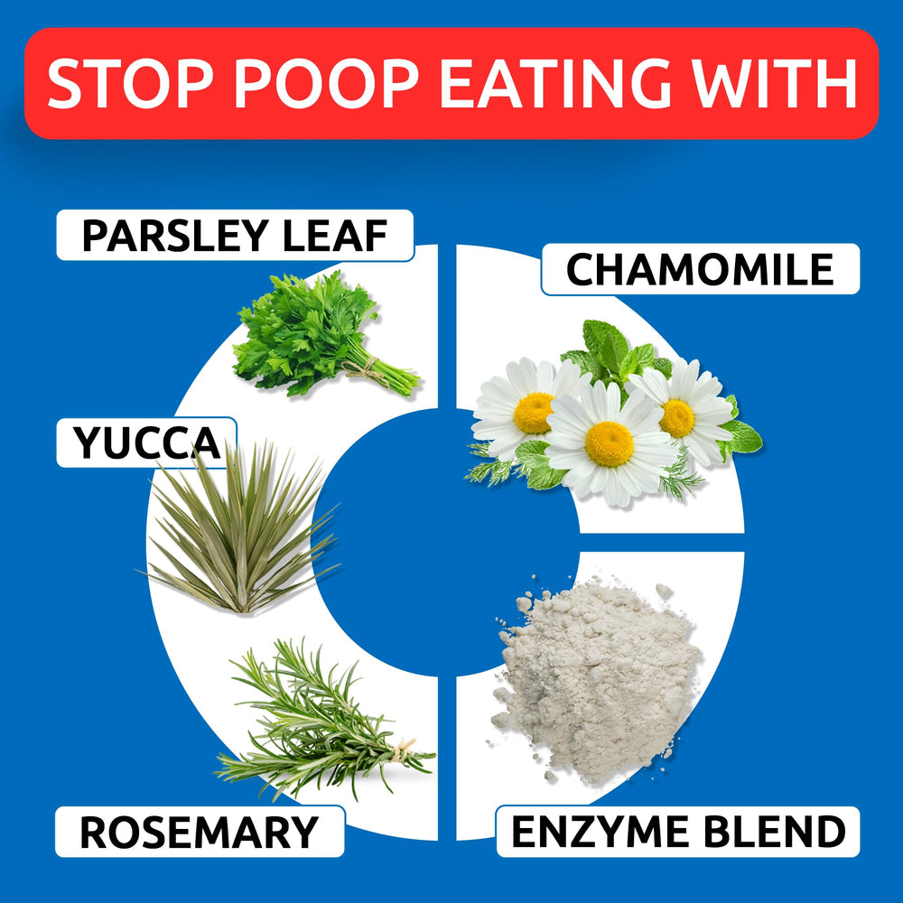 BARK&SPARK No Poo Chews digestive enzymes image emphasizes nutrient absorption aid.