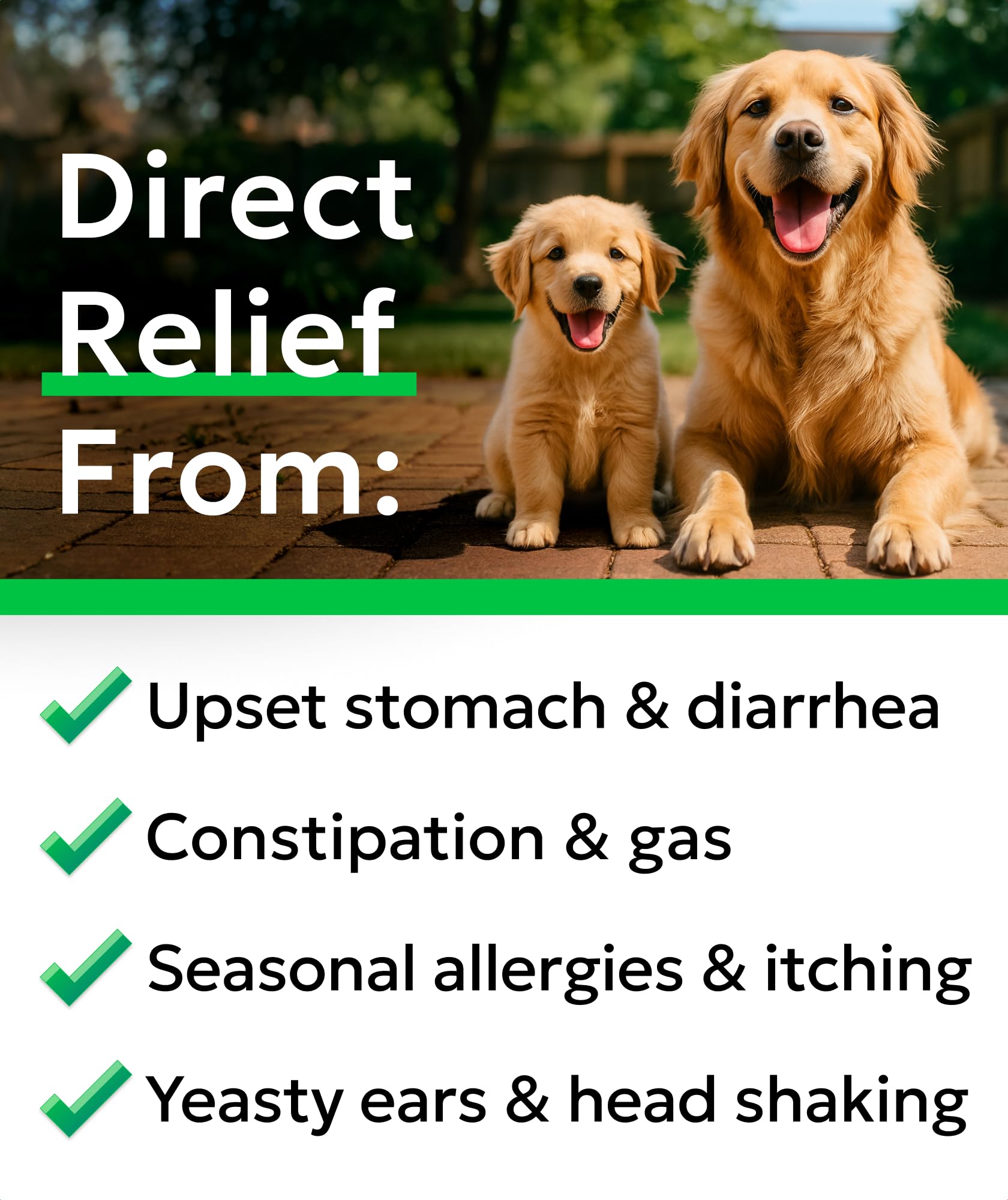 BARK&SPARK pumpkin-fiber image supports stool consistency