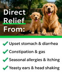 BARK&SPARK pumpkin-fiber image supports stool consistency