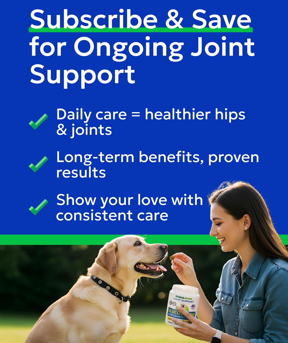BARK&SPARK senior-friendly chews designed for large and small breeds alike