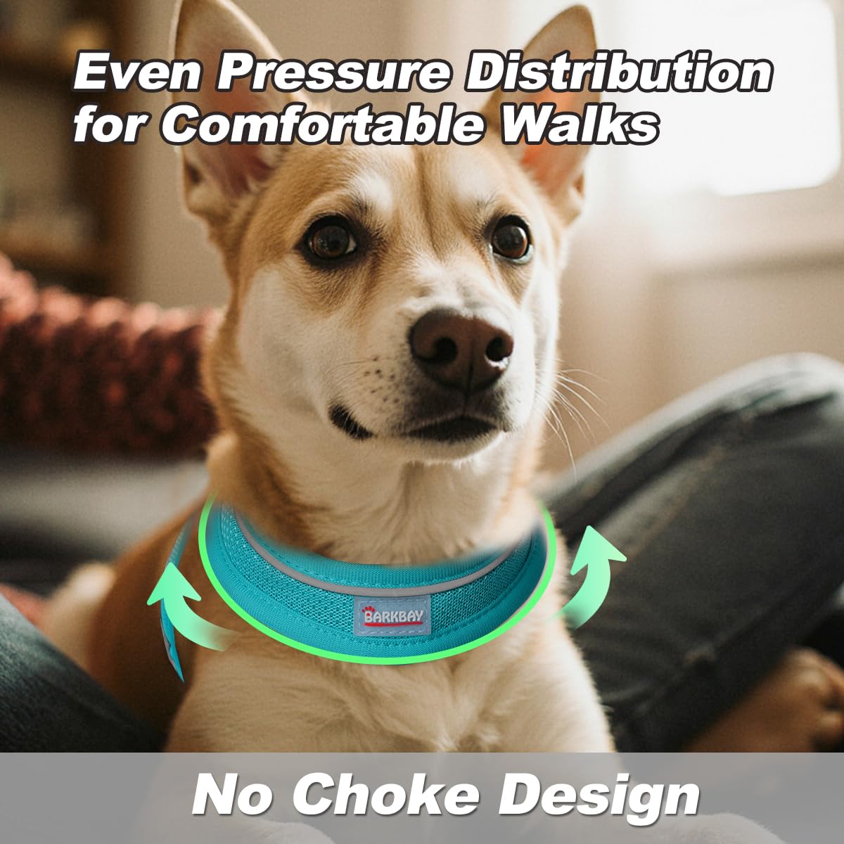 BARKBAY 5ft leash with reflective trim supports flexible, safer walking
