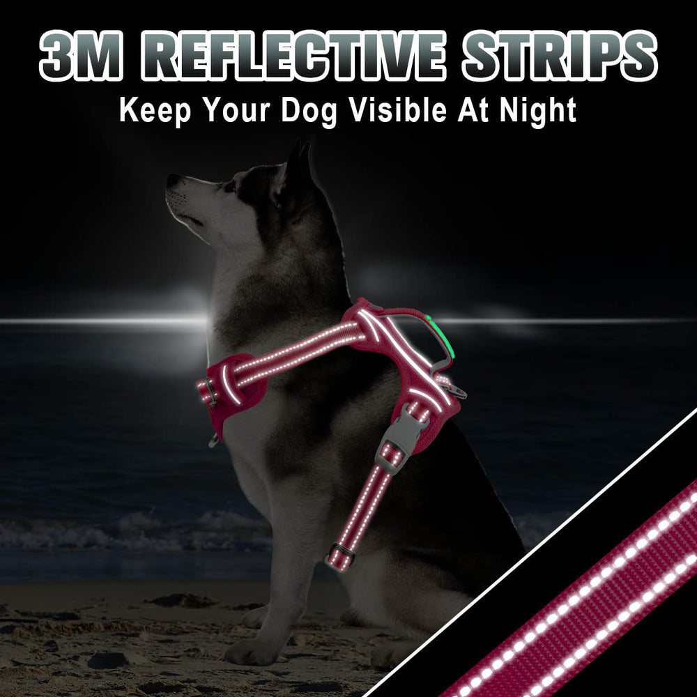BARKBAY back D-ring and front ring on pink harness