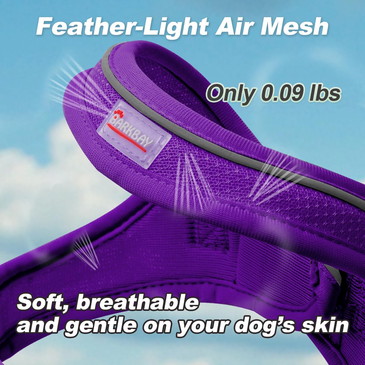 BARKBAY complete 5ft leash set with reflective trim for safer dusk walks.