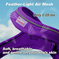 BARKBAY complete 5ft leash set with reflective trim for safer dusk walks.