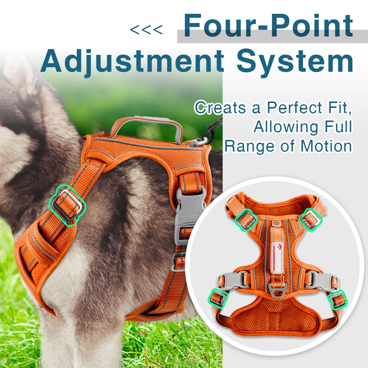 BARKBAY adjustable straps ensure a snug fit for varying large dog sizes.