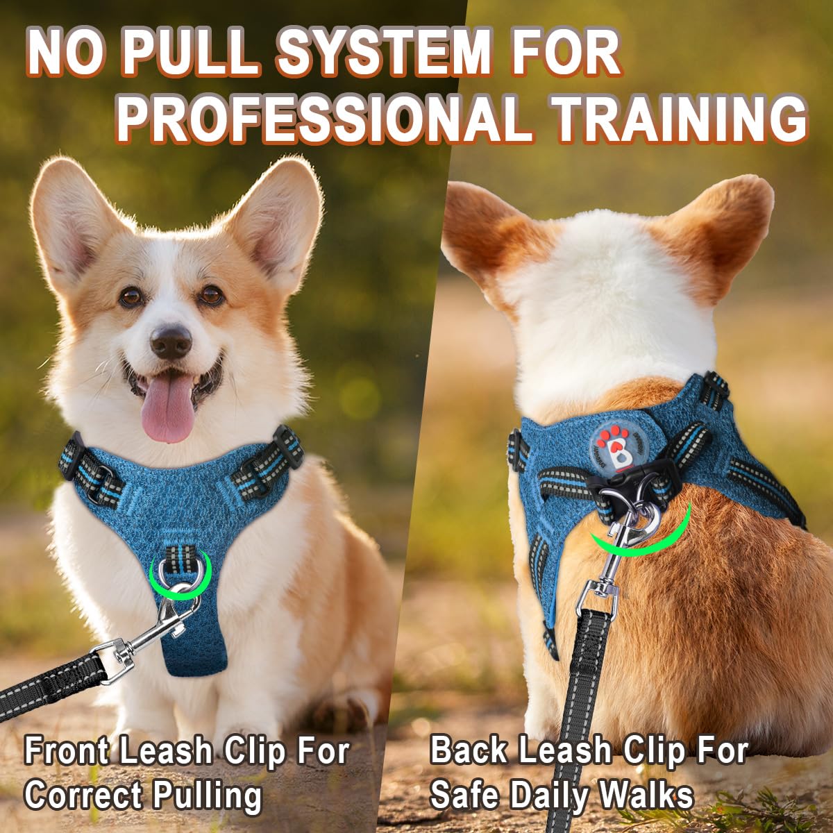 BARKBAY back buckle and D-rings provide secure attachment during walks