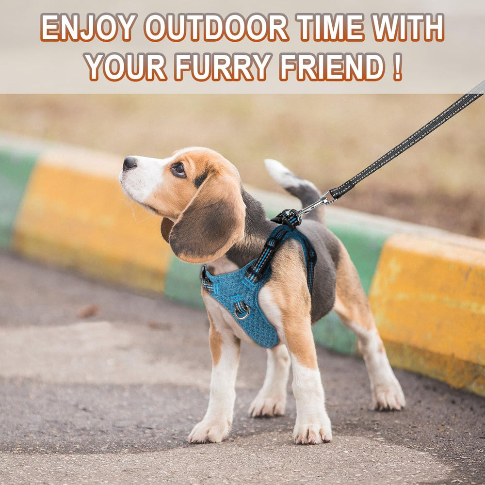 BARKBAY daily-walk-use harness suits everyday adventures with reliable adjustability