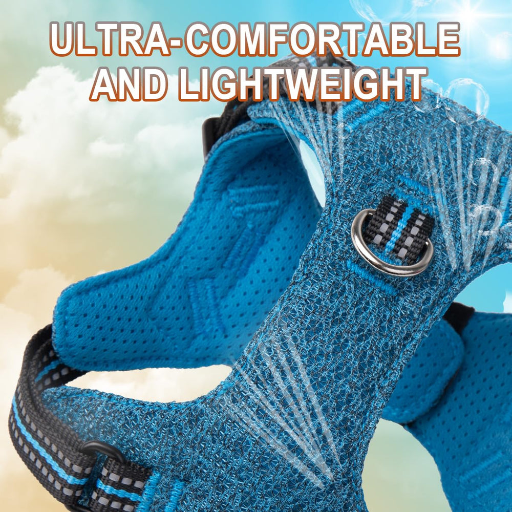 BARKBAY four-point adjustable harness ensures a secure custom fit for small dogs