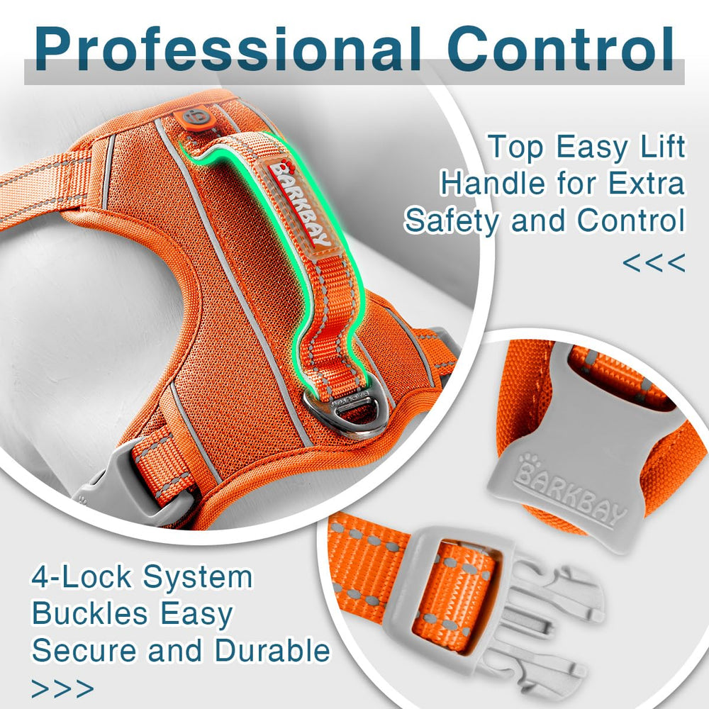 BARKBAY heavy-duty nylon construction supports durable daily wear.