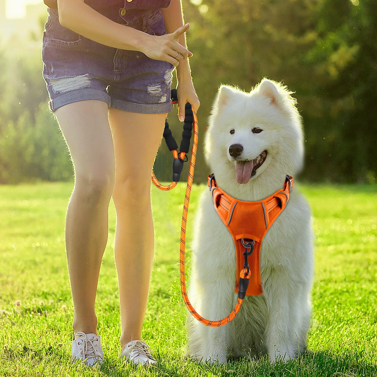 BARKBAY no pull design aids training and reduces pulling during walks.