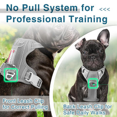 BARKBAY Reflective Strips at night boost visibility and safety
