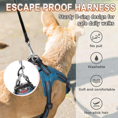 BARKBAY slip-on design makes dressing quick and hassle-free