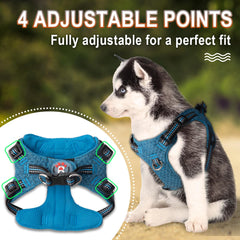 BARKBAY soft-breathable fabric harness for comfort on long walks