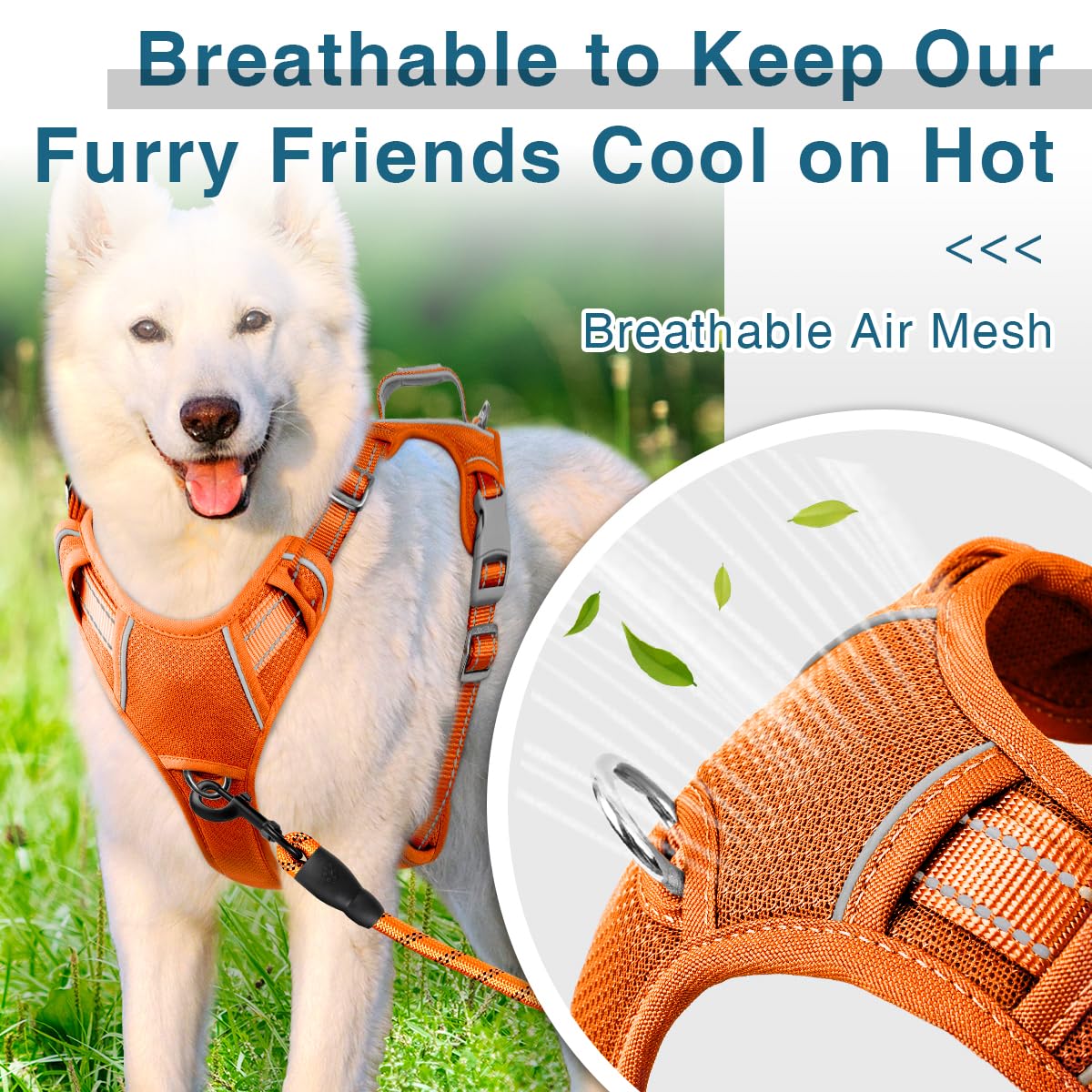 BARKBAY top handle feature offers quick control during busy parks.