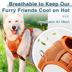 BARKBAY top handle feature offers quick control during busy parks.