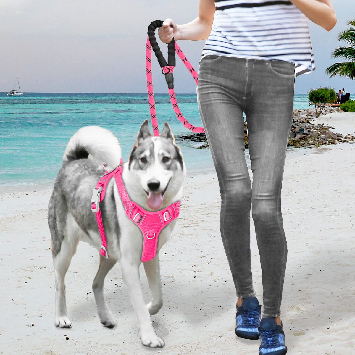 BARKBAY pink harness on a dog during a walk or run