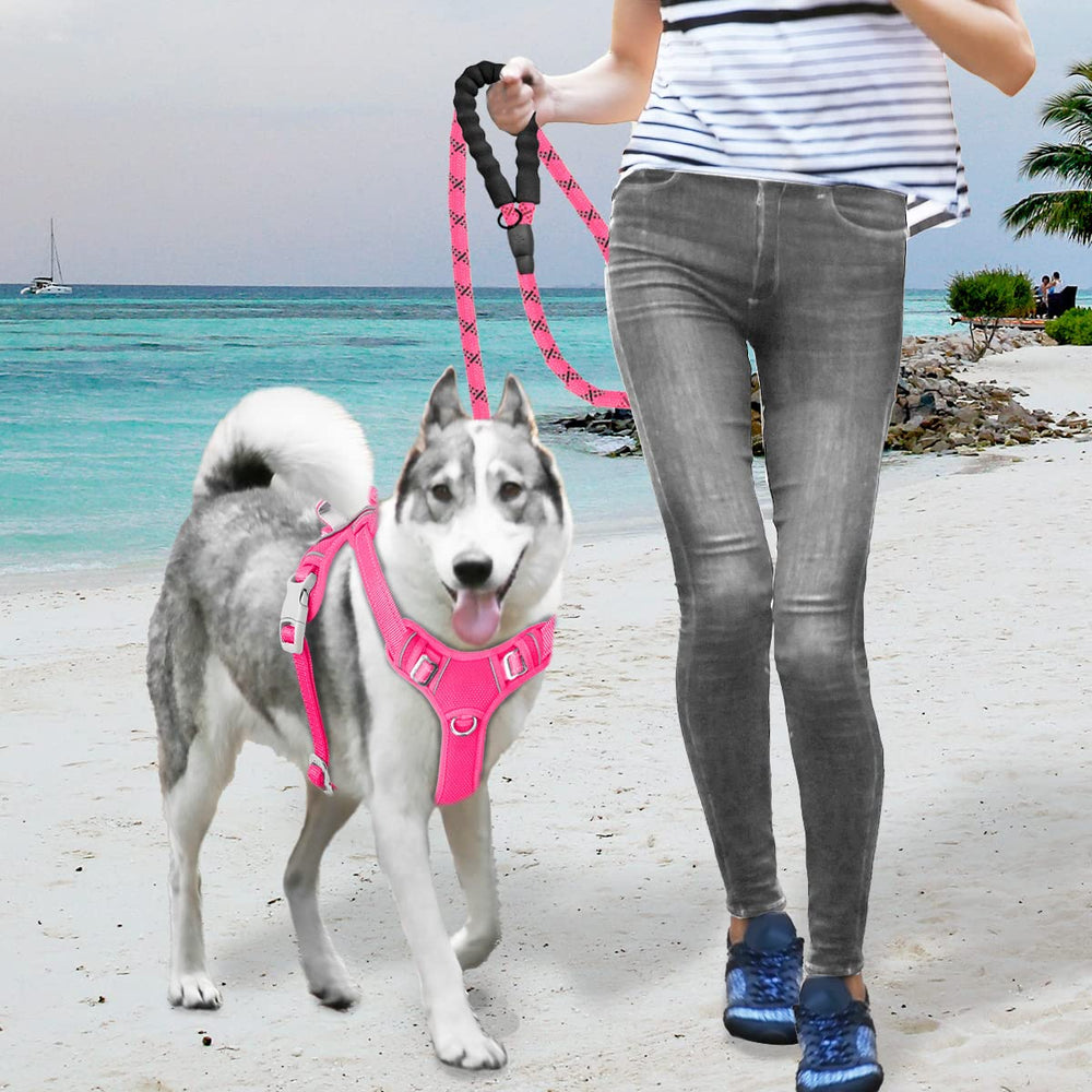 BARKBAY pink harness on a dog during a walk or run