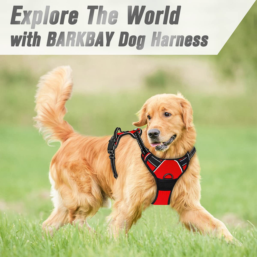 BARKBAY dog wearing red harness on a daytime walk shows easy on-off.