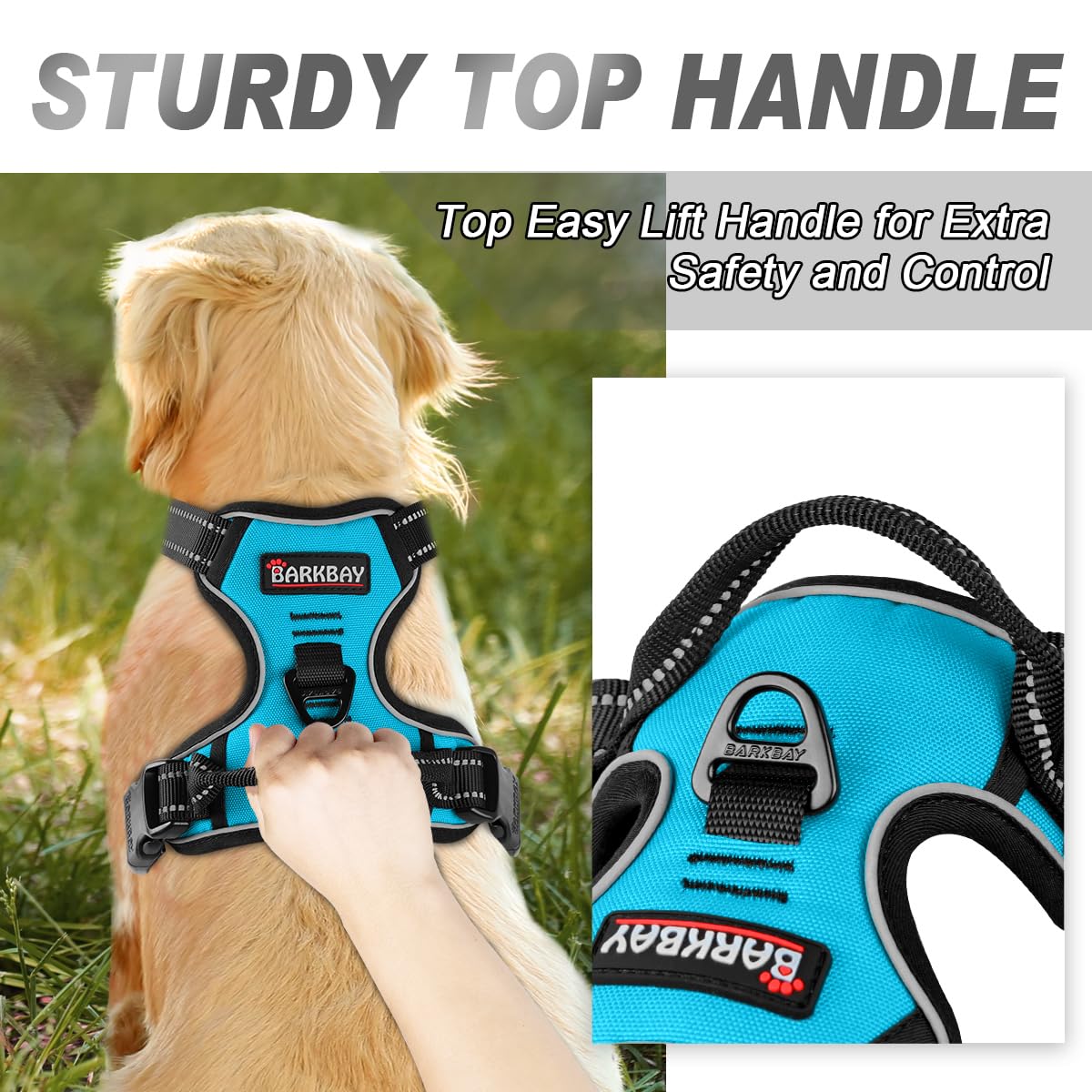 BARKBAY four-point adjustment system ensures near-custom fit.
