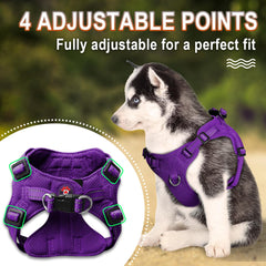 BARKBAY four-point adjustable harness ensures perfect fit.